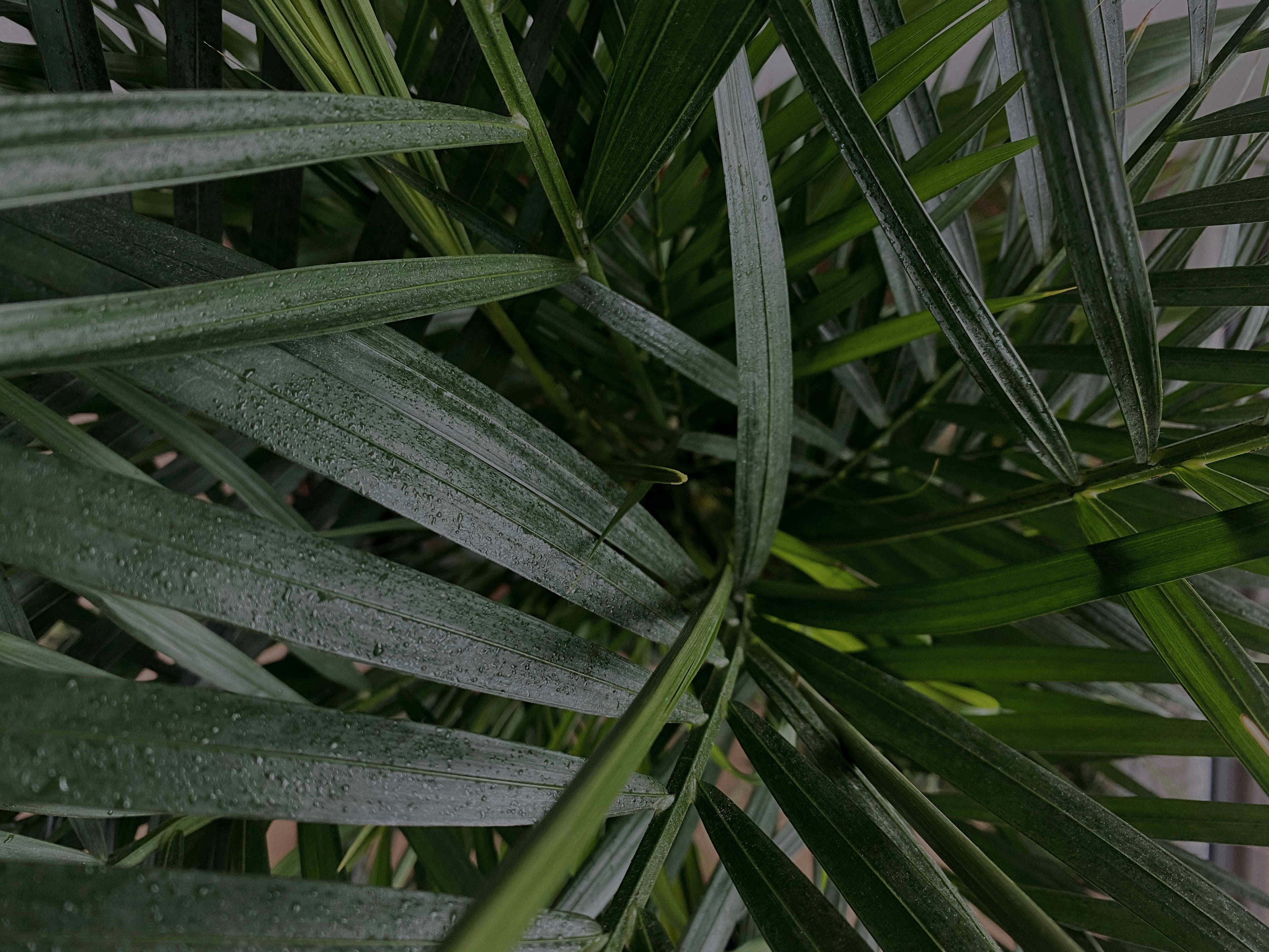 Nachhaltig und Fair Mood Bild