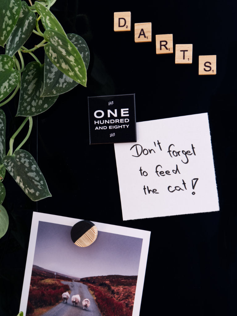 Magnet-Just-Nine-Darts-One-Hundred-And-Eighty-Moodbild1