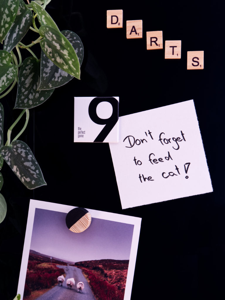 Magnet-Just-Nine-Darts-The-Perfect-Game-Moodbild1