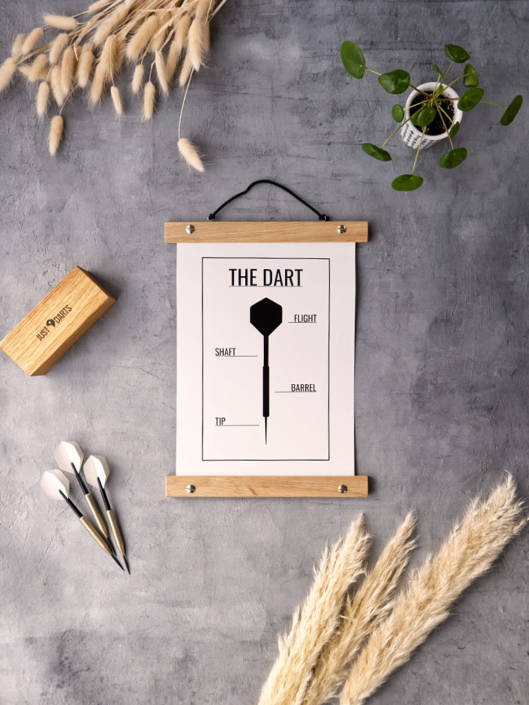 Dart Poster Aufbau eines Dartpfeils Mood 2 Just Nine Darts